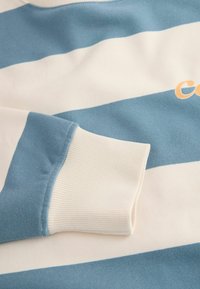 Cotton sweatshirt featuring alternating light blue and cream stripes, ribbed cuffs, and embroidered text in orange. Soft texture.