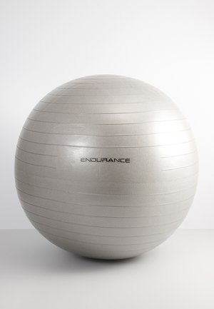 Palla da esercizio argento con superficie testurizzata e strisce orizzontali. Presenta l'etichetta "ENDURANCE" in nero, a forma rotonda.