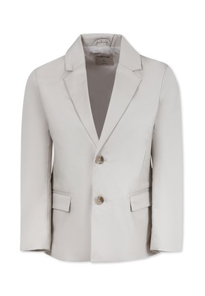 Blazer grigio chiaro con un design strutturato, colletto a punta, due bottoni frontali e tasche laterali, realizzato in un tessuto liscio.