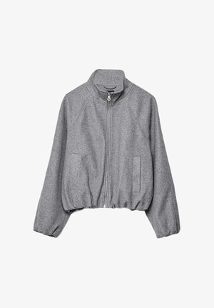 Sweat-shirt gris court en tissu doux, doté d'un col montant, d'une fermeture éclair à l'avant, de deux poches latérales et d'un ourlet élastiqué.