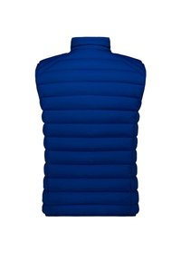 Blau gesteppte ärmellose Daunenweste mit hohem Kragen, Rückenansicht auf einem schlichten weißen Hintergrund.