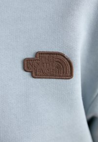 Světle modrá mikina s texturovanou hnědou výšivkou loga, na které jsou slova "THE NORTH FACE" a design polokoule.
