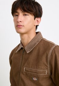 Dickies Farkkutakki - mushroom