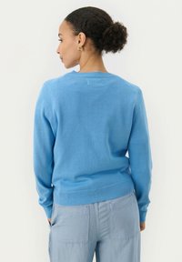 Maglione azzurro chiaro con maniche lunghe, scollo a girocollo, orlo e polsini ribassati. Tessuto liscio, senza motivi o decorazioni visibili.