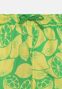 Björn Borg PALM SPRINGS BIG  - Plaukimo šortai - light green