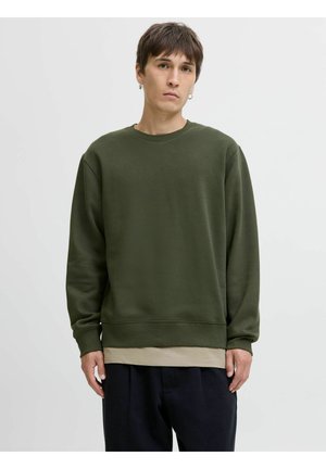 Olivegrüner Pullover aus weichem Material mit Rundhalsausschnitt, gerippten Bündchen und Saum, über einem beigen T-Shirt getragen, kombiniert mit dunklen Hosen.