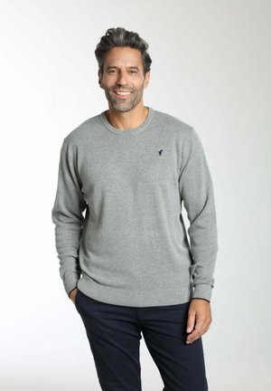 COL ROND - Pullover - gris