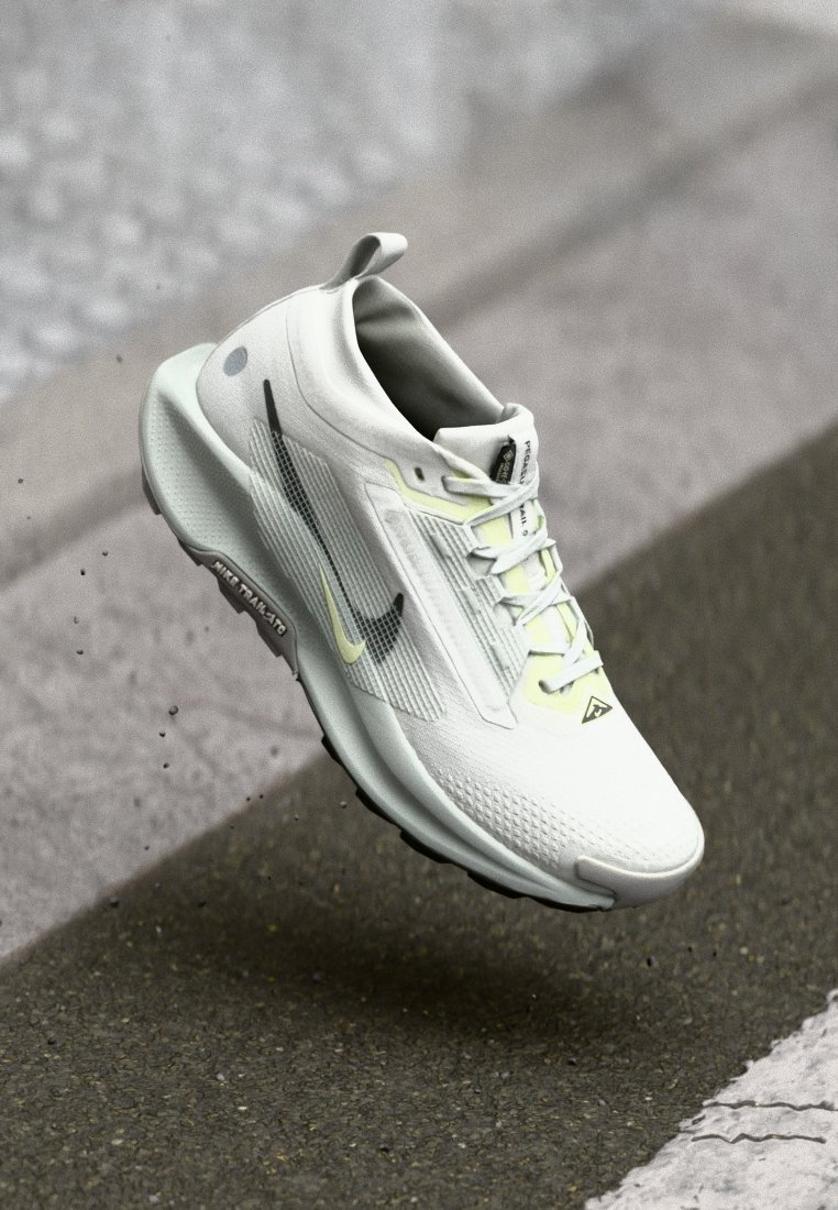 Nike Performance PEGASUS TRAIL 5 GTX - Pantofi alergare trail