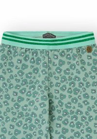 Pantalones cortos de leopardo verde con una textura suave, que cuentan con una cinturilla elástica verde claro con rayas brillantes verdes y un detalle de logo.