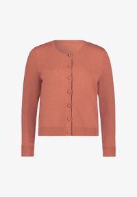 Wybrany, terra cotta