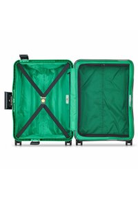 Delsey Paris COLOR BLOCK HARDSIDE  UNISEX - Juego de maletas - green