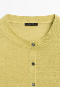 Světlé zelené pletené sako s kulatým výstřihem, třemi viditelnými tmavými knoflíky a černou štítkem "Massimo Dutti" připevněným uvnitř límce.