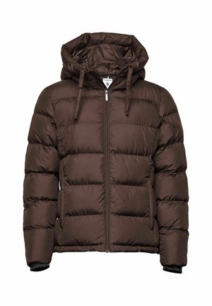 U.S. Polo Assn., GIGI WINTER JACKET - Winter jacket - coffee bean