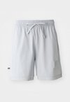 KEVIN DURANT SHORT - Sporta šorti - wolf grey/photon dust