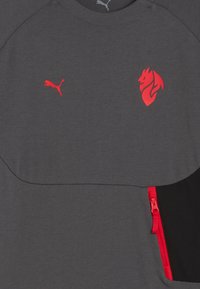 Grå sporttröja med röd Puma-logotyp, ett lejonemblem och en dragkedjeförsedd ficka. Har en rundad halsringning och raglanärmar.