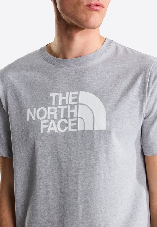 The North Face M EVOLUTION HALF DOME REGULAR SHORT SLEEVE TEE - Print T-shirt - tnf pale grey heather t — photo 4