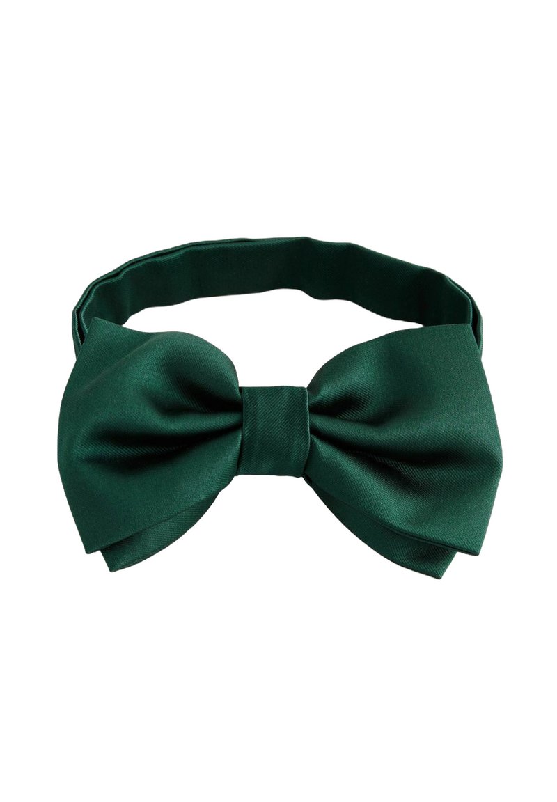 Next TEXTURED - REGULAR FIT - Noeud papillon - green