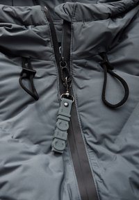 Veste en duvet grise avec une fermeture éclair sur le devant, des accents noirs et une capuche ajustable. Comprend un tire-zippé marqué et des cordons élastiques.