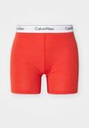 BOXER BRIEF ICON - Gaćice - molten