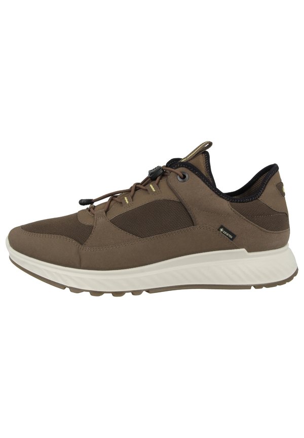 EXOSTRIDE LOW GTX TEX - Sneaker low - birch