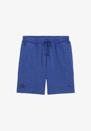 Blaue Sportshorts aus strukturiertem Stoff, mit einem elastischen Bund und Kordelzug sowie Seitentaschen. Schwarze Logos an den Seiten.