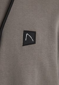 CHASIN' Jersey con capucha - grey