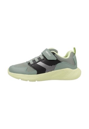 SPRINTYE - Zapatos de bebé - grün