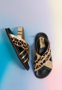 Sandales pour femmes avec semelles noires, brides croisées dorées métalliques à imprimé léopard et fermoirs à boucle sur fond dégradé bleu et rose.