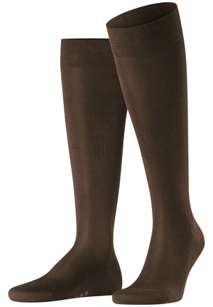 FALKE Tiago - Kniekousen - brown