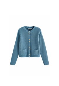 Next REGULAR FIT - Kardiganas - blue