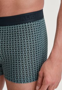 Boxershorts met een geometrisch patroon in donkere groen- en lichtblauwtinten, met een zwarte elastische tailleband waarop "CALIDA" is gegraveerd.