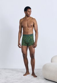 Πράσινα μποξέρ με μοτίβο, με σκουροπράσινη ελαστική μέση, διακοσμημένα με λουλουδάτο σχέδιο. Το μοντέλο στέκεται ξυπόλυτο μπροστά σε ουδέτερο φόντο.
