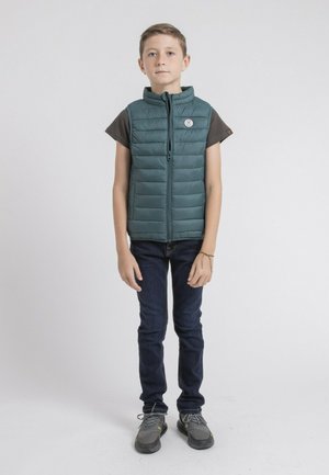 SANS MANCHE ZERNES - Veste sans manches - vert foret