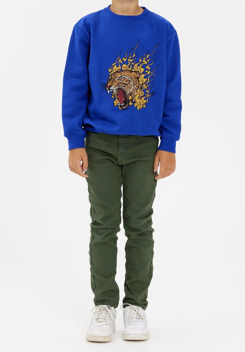 Sweatshirt bleu avec un motif de lion en flammes, associé à un pantalon vert et des baskets blanches. Le sweatshirt a un col rond et des poignets côtelés.