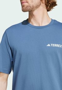 Adidas Terrex TERREX BACK GRAPHIC TSHIRT - Sportovní tričko - steel