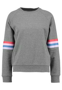 Grijze sweatshirt met raglanmouwen, voorzien van horizontale strepen in rood, roze, blauw en lavendel op de armen. Zachte textuur.