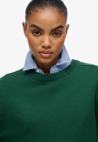 Grüner Strickpullover mit ribbeltem Kragen, über einem hellblauen Hemd mit Knöpfen getragen. Nahaufnahme betont Textur und Farbkontrast.