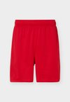 STANDARD FIT - Αθλητικό σορτς - gym red