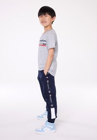 Champion GRAPHIC CREWNECK UNISEX - Majica kratkih rukava s printom - grey