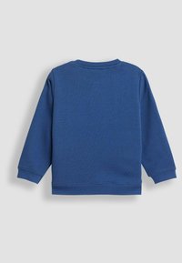 Felpa blu a maniche lunghe realizzata in tessuto morbido, con collo rotondo, polsini a coste e un colore uniforme senza motivi o decorazioni.