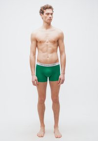 Νεαρός άνδρας όρθιος, χωρίς παπούτσια, φορώντας πράσινα εσώρουχα Polo Ralph Lauren boxer briefs, μπροστά σε απλό φωτεινό φόντο.