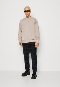 Tommy Jeans SKATER TIMELESS CREW - Mikina - brandons stone