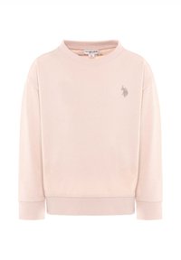 Felpa a maniche lunghe color rosa chiaro con polsini e orlo a coste, con un piccolo logo grigio sul lato sinistro del petto. Tessuto morbido con una texture liscia.