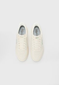 Pair of cream lace-up Skechers sneakers with perforated toes and "Slip-ins" insoles on a white background.