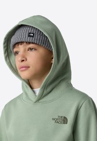 Lys grønn hettegenser med stor hette, myk tekstur og trykt logo på brystet; kombinert med en ribbestrikket grå lue.