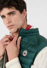 Gilet trapuntato verde con collo alto, zip frontale e una toppa rotonda con logo. Indossato sopra una camicia a motivo rosso e bianco con collo a righe.