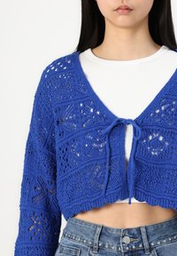 Blue crocheted cardigan with a v-neck, tie closure, and openwork pattern. Features long sleeves and a cropped length, paired with a white shirt.