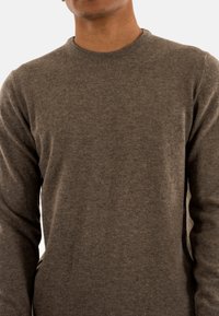 Man in een lange mouwen, bruine trui met ronde hals gemaakt van zachte gebreide stof tegen een effen achtergrond.