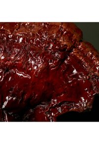 Czerwony, błyszczący, naturalny materiał o pomarszczonej fakturze i nieregularnym kształcie; charakteryzuje się głębokimi cieniami i refleksami, ukazującymi jego organiczny design.