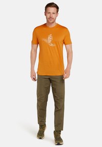 icebreaker Camiseta estampada - ray
